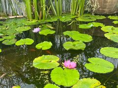 -国家植物园南园