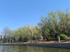 -莱西月湖公园