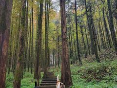 -山王坪喀斯特国家生态公园