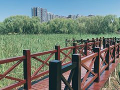 -望湖公园