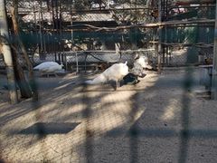 -保定市动物园