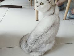 -平行世界·猫咖(首经贸店)