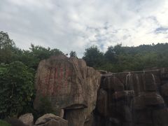 -神光山国家森林公园