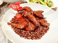 -朱记乳鸽王·非遗石岐乳鸽·全鸽宴(大兴旗舰店)