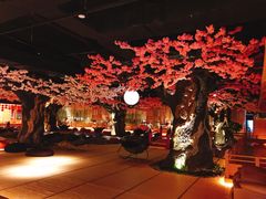 -蓝鲸湾汤泉(包河店)