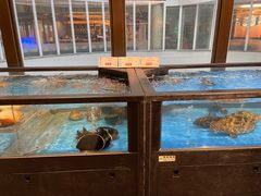 -南海渔村(珠江新城店)