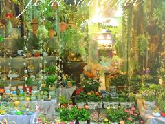 -循礼门鲜花花市(武汉循礼门店)