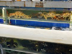 -四道口水产市场