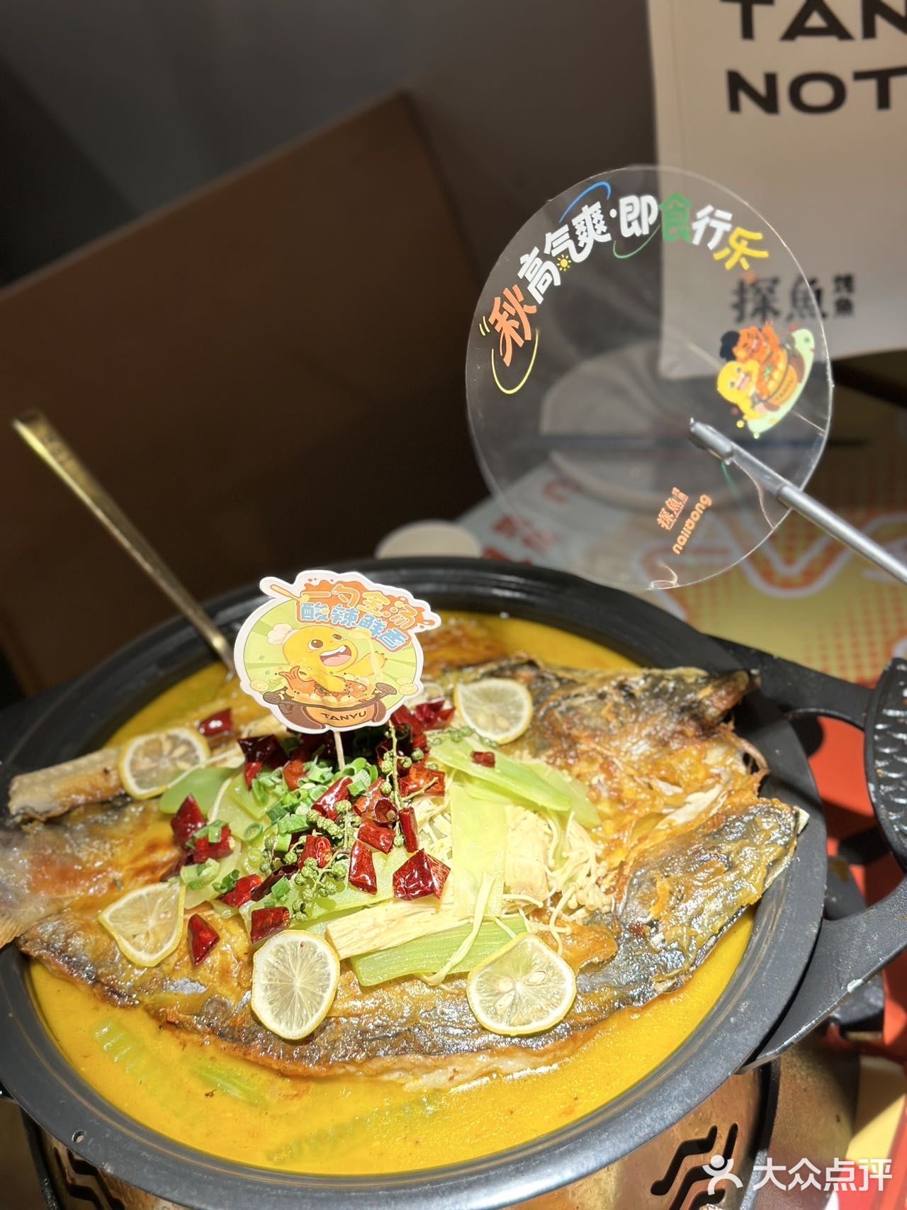 单方面宣布，探鱼就是我的闺蜜聚会基地