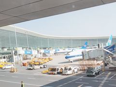 -郑州新郑国际机场-T2航站楼