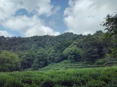 -杭州花家山庄