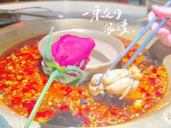 -新哥老官·畅吃123·美蛙世界(苏宁广场店)