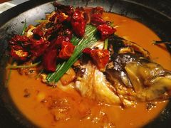 段氏绝味鱼头-柿合缘新京菜(国金中心商场店)