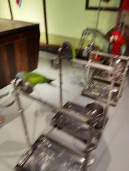 -未来动物城动物主题公园(大悦城店)