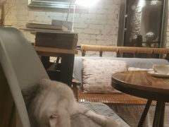 -不舍昼夜咖啡馆