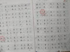 -赵汝飞练字硬笔书法(博泰国际校区)
