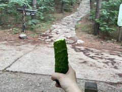 -北京西山国家森林公园