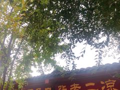 -洞子口张老二凉粉(文殊院店)