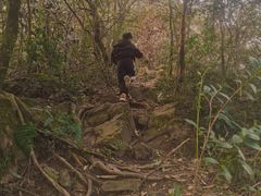 -杭州半山国家森林公园