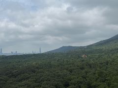 -灵谷景区