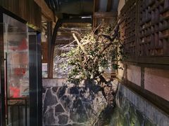 -哥老官重庆美蛙鱼头(西湖银泰十一哥店)
