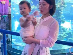 -泉城欧乐堡海洋极地世界
