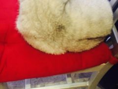 -MIKAKU(万达广场上海宝山店)