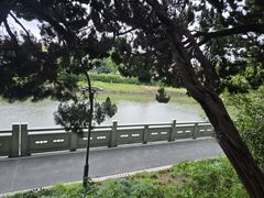 -嘉定紫藤园