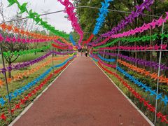 -桤木河湿地公园