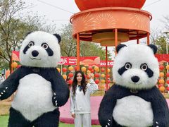 -盈香心动乐园