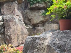 -虞山城墙