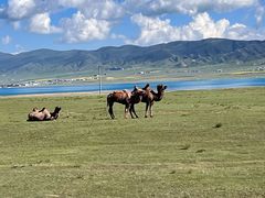 -青海湖国家重点风景名胜区