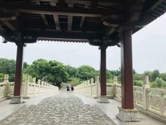 -东湖落雁景区