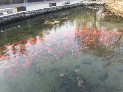 -竹泉村旅游度假区