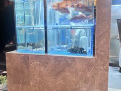 -海派悦庭·海胆烧麦·新融合菜(凯德广场店)