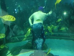 -苏州海洋馆