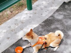 -白水寺森林公园