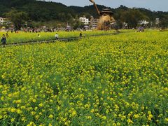 -红山村