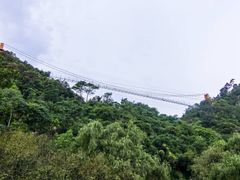 -青龙山国家森林公园