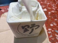 -野人先生Gelato(上海长宁龙之梦店)