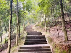 -凤栖山