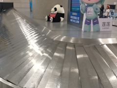 -温州龙湾国际机场
