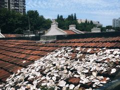 -普朗姆生蚝吧(原建国路店)