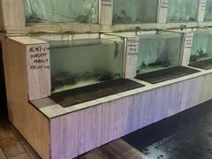 -海盗餐厅