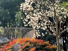 -宁波儿童公园(鄞州区)