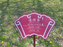 -苏州文庙(姑苏区)