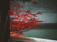 -苏州本色美术馆