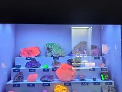 -湖南省地质博物馆