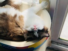 -小时光咖啡馆(北锣鼓巷店)
