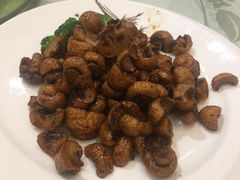 -紫丁香饭店-中餐厅